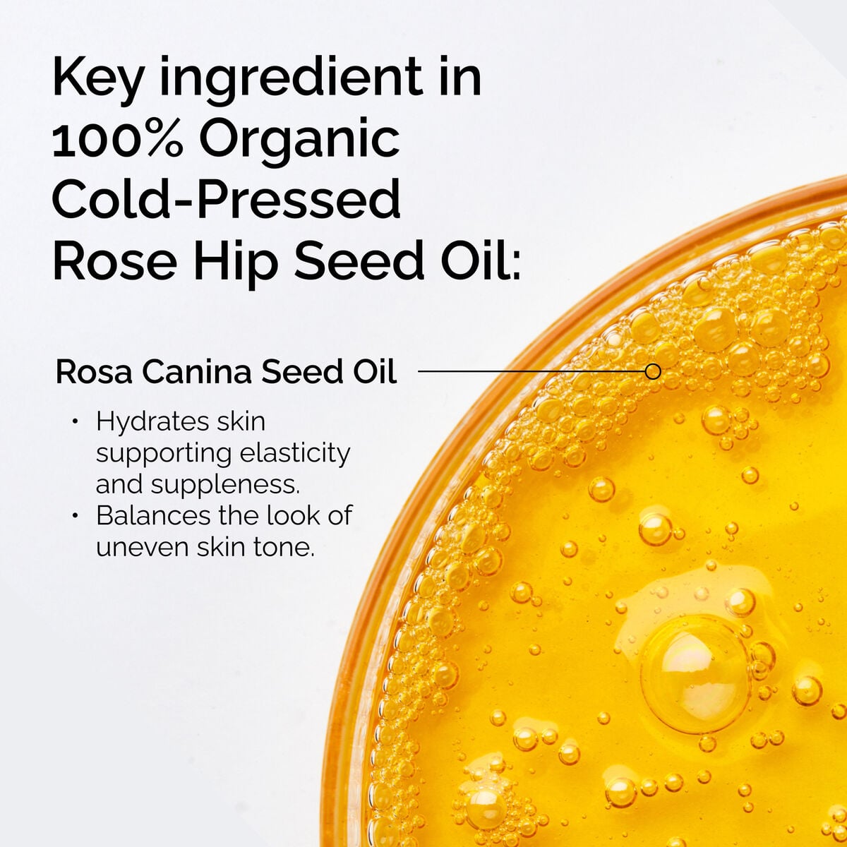 100-organic-cold-pressed-rose-hip-seed-oil-h6 FY25-D41247-ORD-Web-PDP-100-Rose-Hip-Oil-1x1-EN-2.jpg