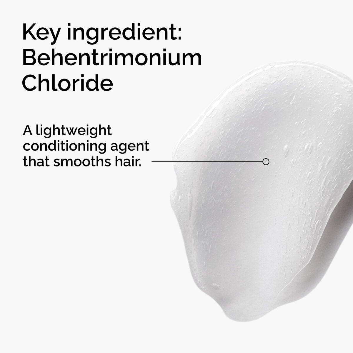 behentrimonium-chloride-2-conditioner-i4 FY25-D41247-ORD-Web-PDP-BTC-1x1-EN-2a.jpg