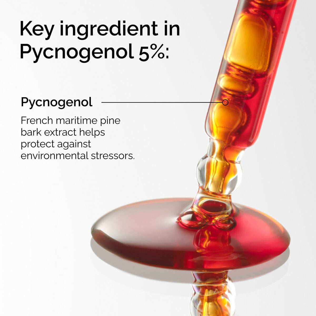 pycnogenol-5-r2 FY25-D41247-ORD-Web-PDP-Pyc-5pct-1x1-EN-2a.jpg
