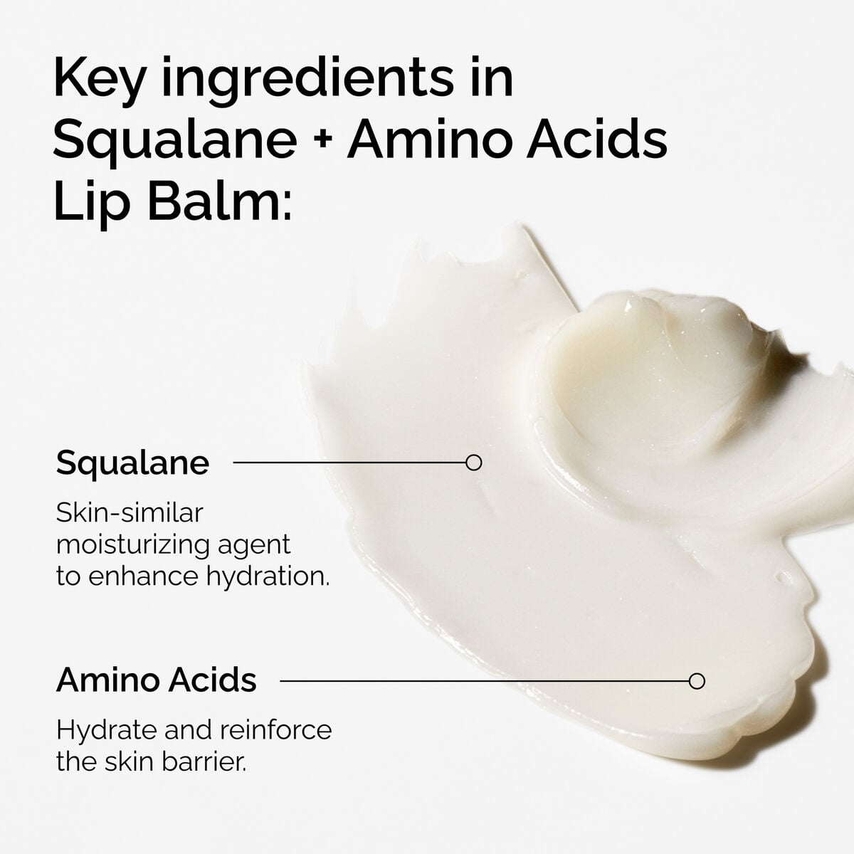 squalane-amino-acids-lip-balm-t7 FY25-D41247-ORD-Web-PDP-Sql-Amino-Lip-1x1-EN-2a.jpg