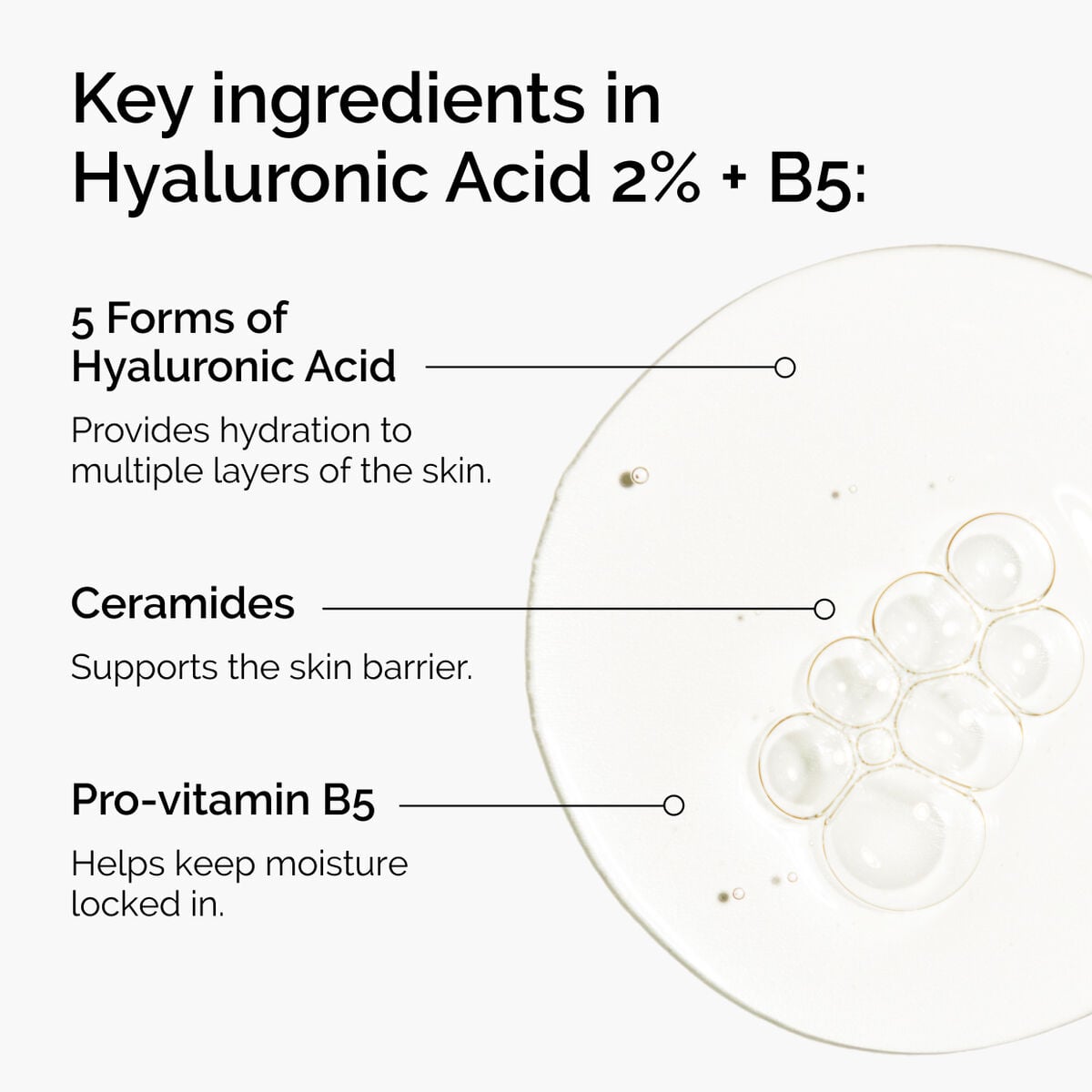hyaluronic-acid-2-b5-with-ceramides-v2 ord-hyaluronic-acid-2pct-b5-hydrating-serum-ingredients-graphic.jpg