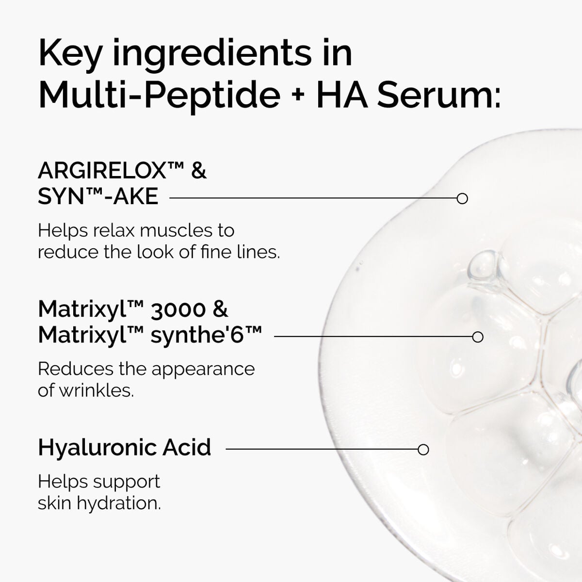 the-age-support-set-n0 ord-multi-peptide-ha-ingredients-graphic.jpg